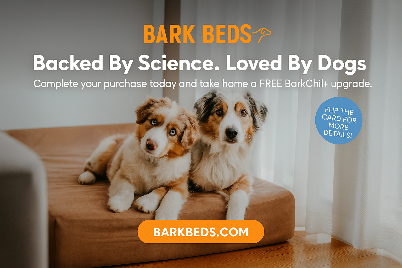 449c3986-bb2f-4657-bd3e-31ae3a74a2d6 449c3986-bb2f-4657-bd3e-31ae3a74a2d6